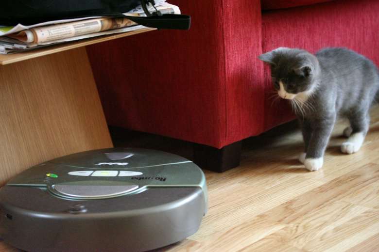 Roomba e il gatto Linus